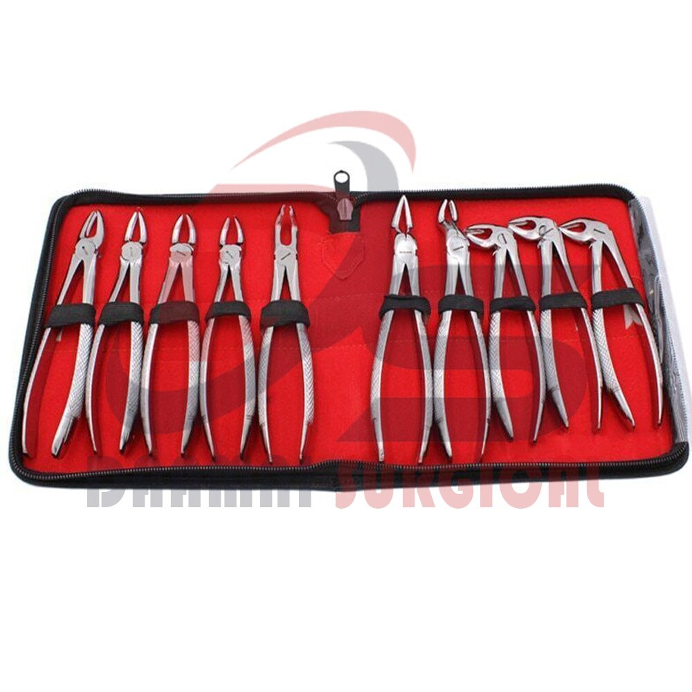 German Stainless Extracting Forceps Extraction Dental Instruments-Set of 10
