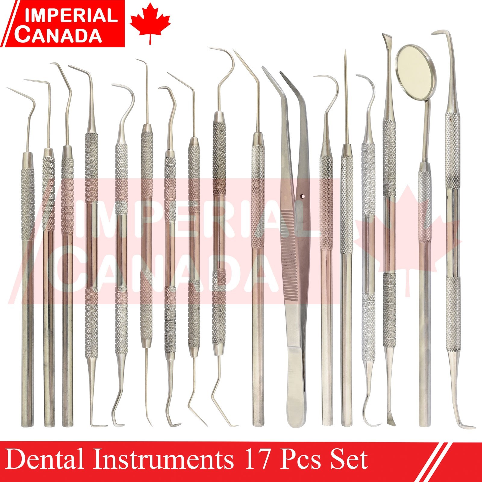 Dental Probes Explorer Hygiene Cleaning Examination Instruments New Set DN-2687