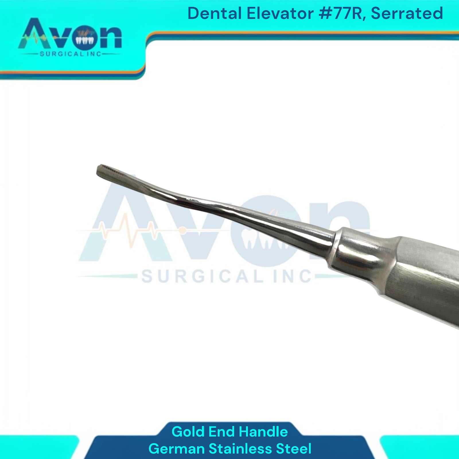 2pcs Set – Bernard Dental Elevator #60 & #77R, Straight & Offset – Stainless