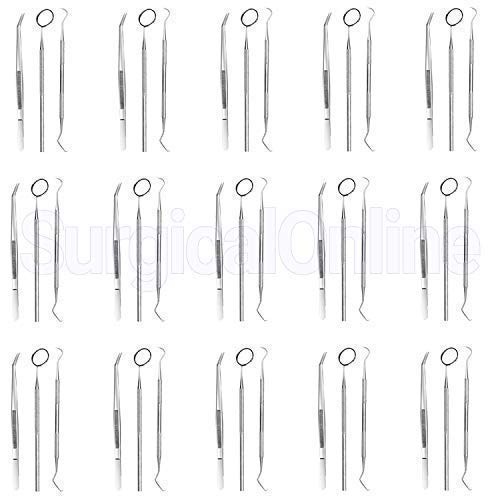 45pcs Basic Economy Professional Dental Hygiene Kit Plaque Remover Set, Stainles