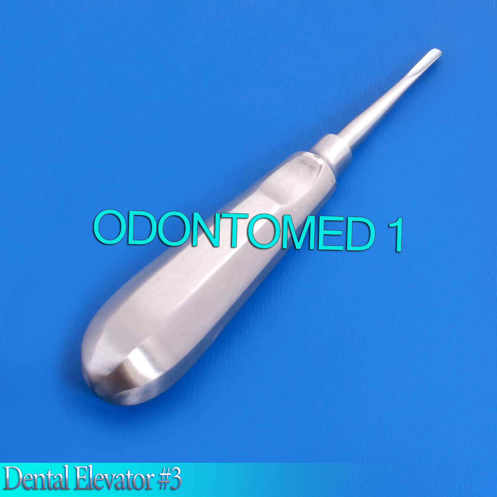 Dental Elevator # 3 Surgical Veterinary Instruments