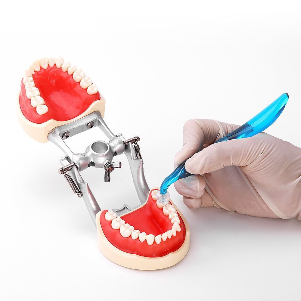 Posterior Teeth Aesthetic Printing kit Dental Light Cure Restoration Filling