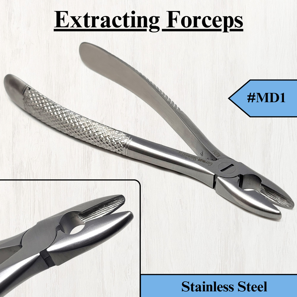 German Dental Extracting Forceps #MD1 Upper Incisors Teeth Surgical Instruments