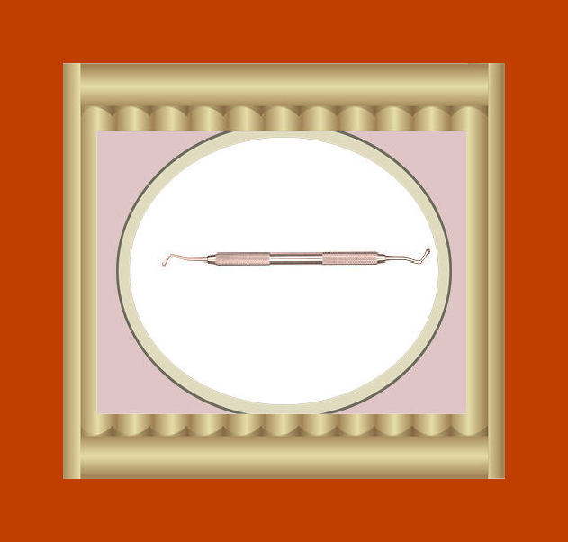 Acorn BURNISHER # 21B Dental Veterinary Instruments ASTM Stainless Steel