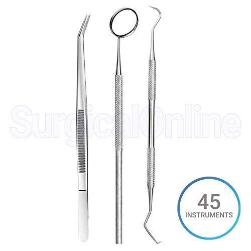 45pcs Basic Economy Professional Dental Hygiene Kit Plaque Remover Set, Stainles
