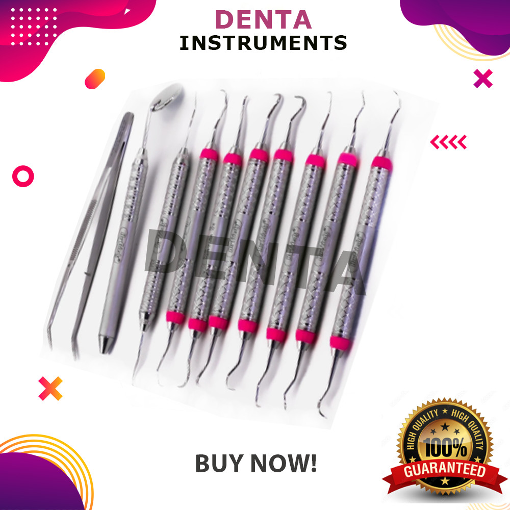 Hu Friedy Dental Hygiene Instruments Set of 10 PCS With Sterlization Cassette