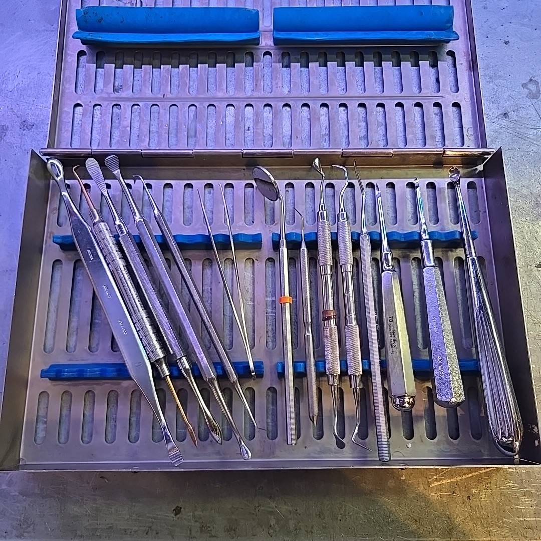 Hu Friedy Surgical Dental Casette Schein Bone Files More HF1