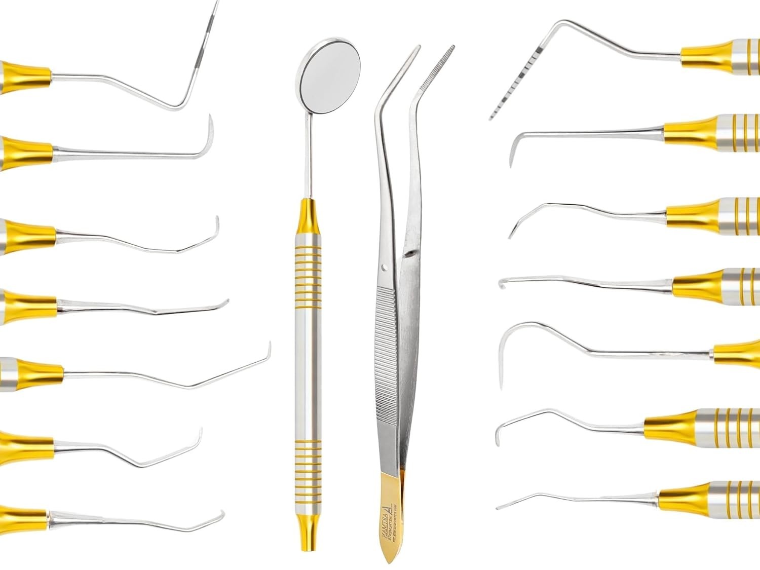 Dental Hygiene Kit 10 Pcs Autoclavable Cassette