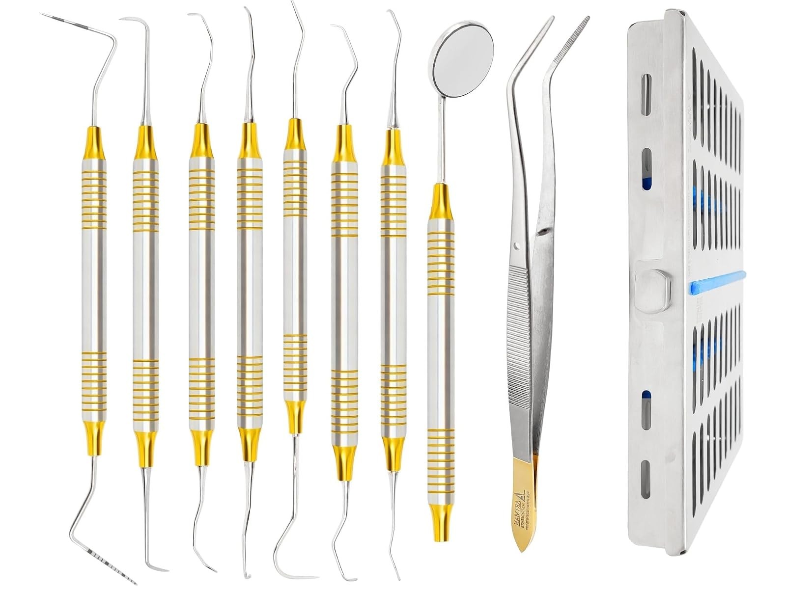 Teeth Cleaning Kit Dental 10pc Mirror Probe Scalers