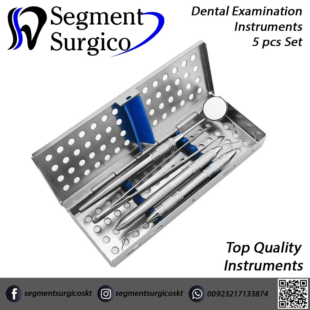 Dental examination 5pcs set High Quality Dental instruments with Cassette