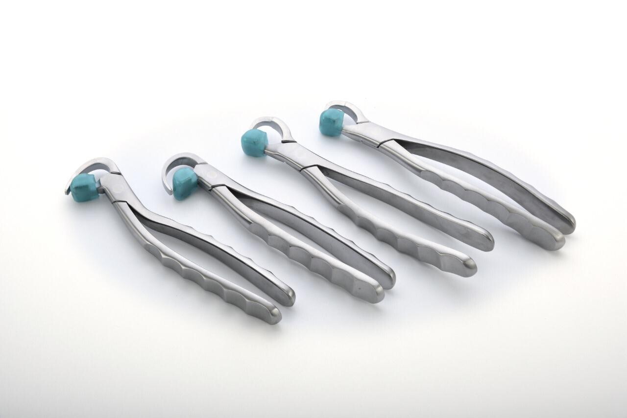 Set of 4 Pcs Dental Extraction Physics Forceps Standard Kit VIA DHL Free Shippin