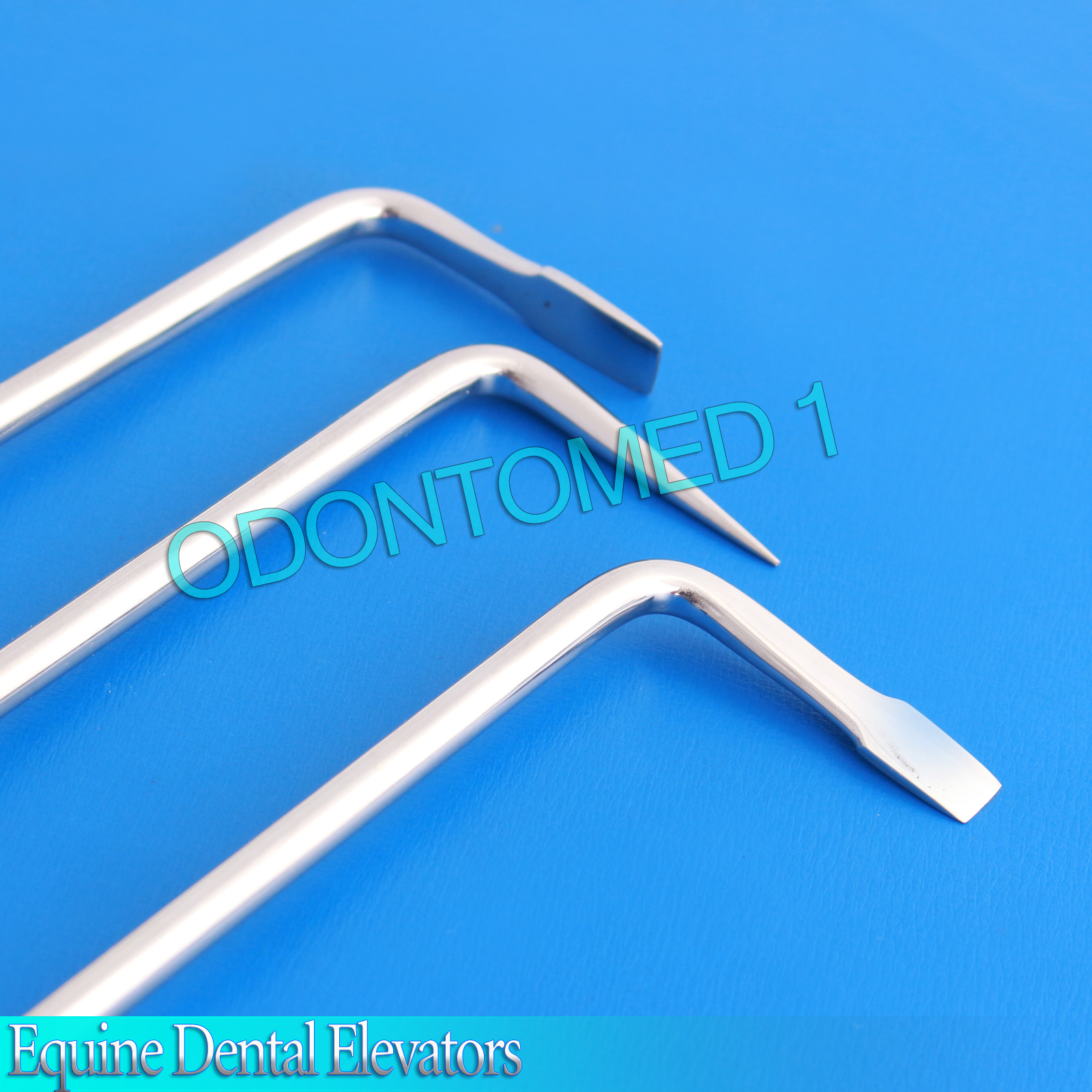 3 pc Equine Dental Elevators Veterinary Instruments VT-136