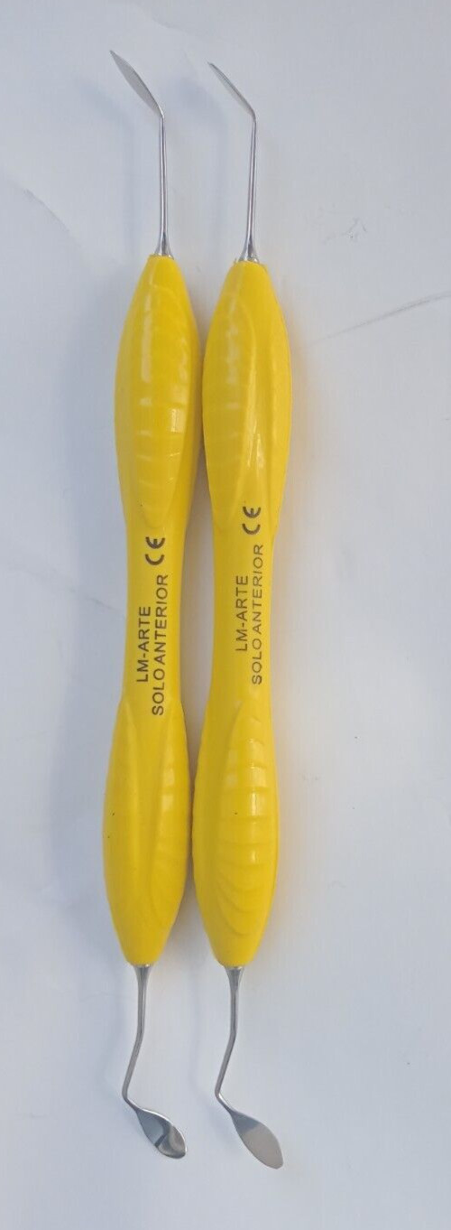Dental Composite Resin Filling Solo Anterior Spatula Instruments Tools 2 Pcs Set