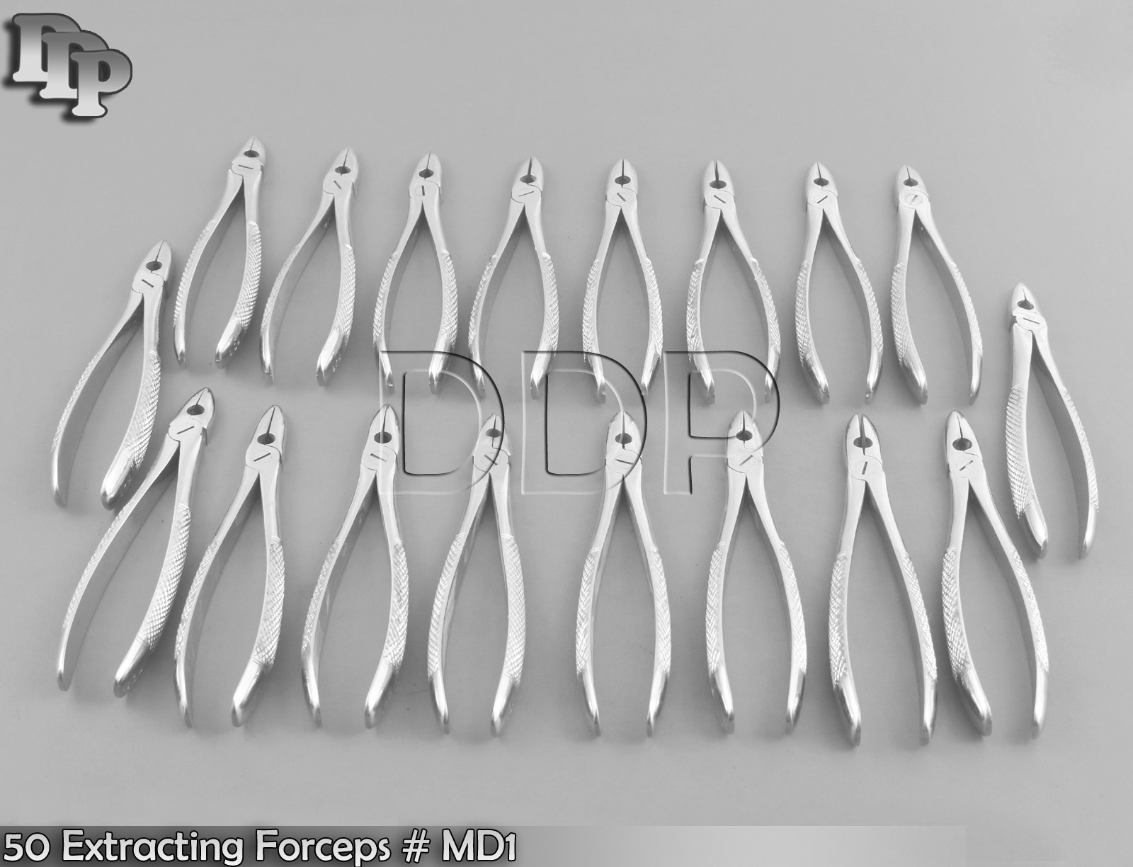 50 Dental Extracting Forceps MD1 Surgical Dental Instruments
