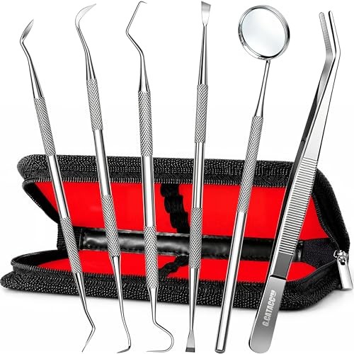 Dental Tools Pick Teeth Cleaning Hygiene Kit Plaque Remover for Steel