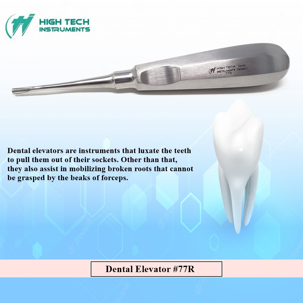 Dental Surgical Elevator Root Tip Luxating Tooth Extraction Veterinary DEL 77R