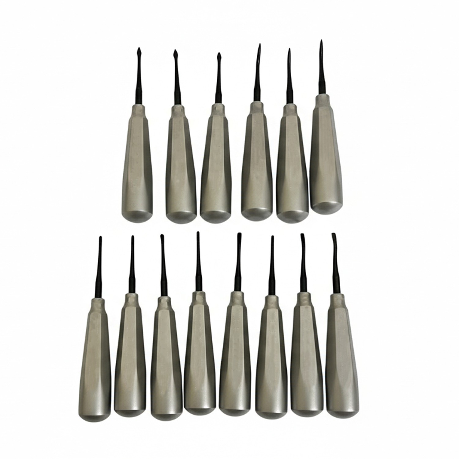 Hu Friedy Denal Elevators Lot of 13 PCS