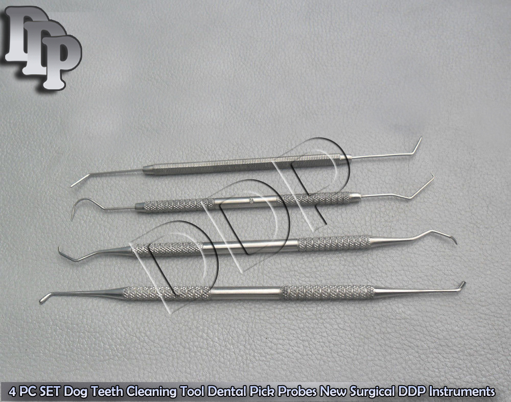 4 PC SET Dog Teeth Cleaning Tool Dental Pick Probes Surgical Instruments PR-0021