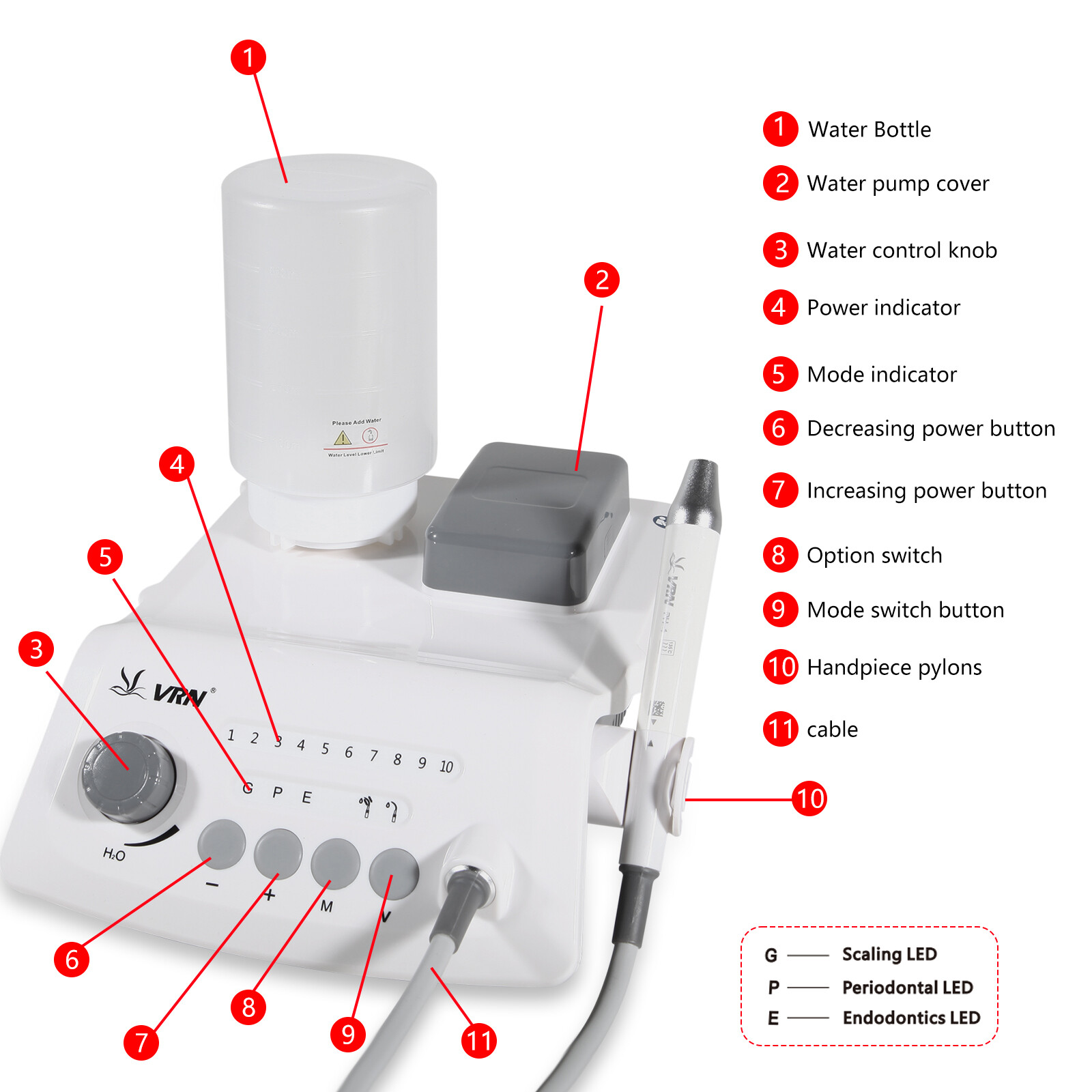 Dental LED Ultrasonic Scaler Bottle/Hygiene Prophy Handpiece 4:1 Polishing Motor