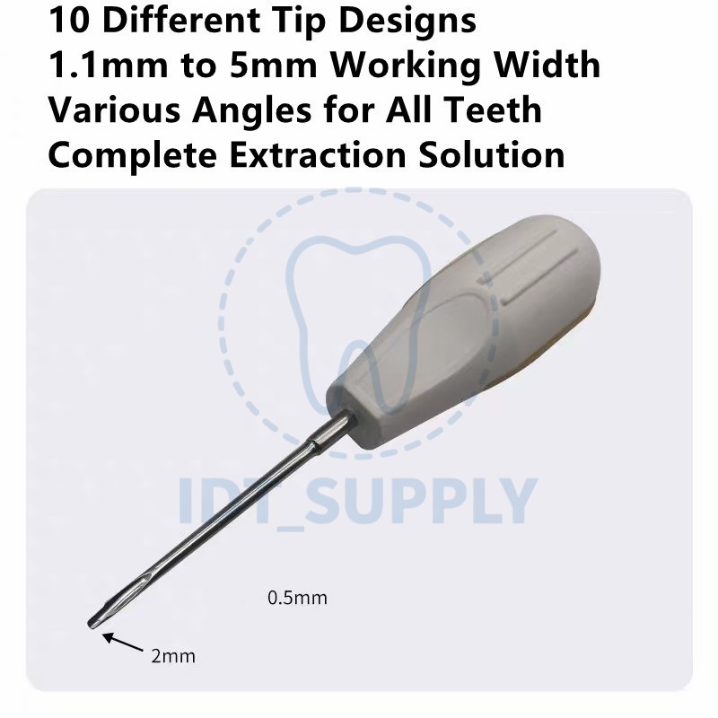 Dental Micro Surgical Extraction Elevator 10 Pcs Set German Steel Atraumatic