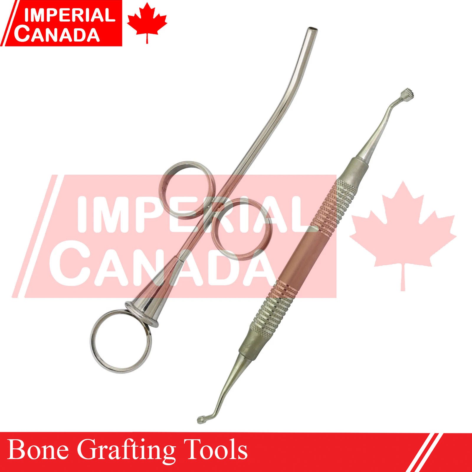 Set of 2 Dental Bone Grafting Tools Bone Graft Syringe Compactor DS-2165