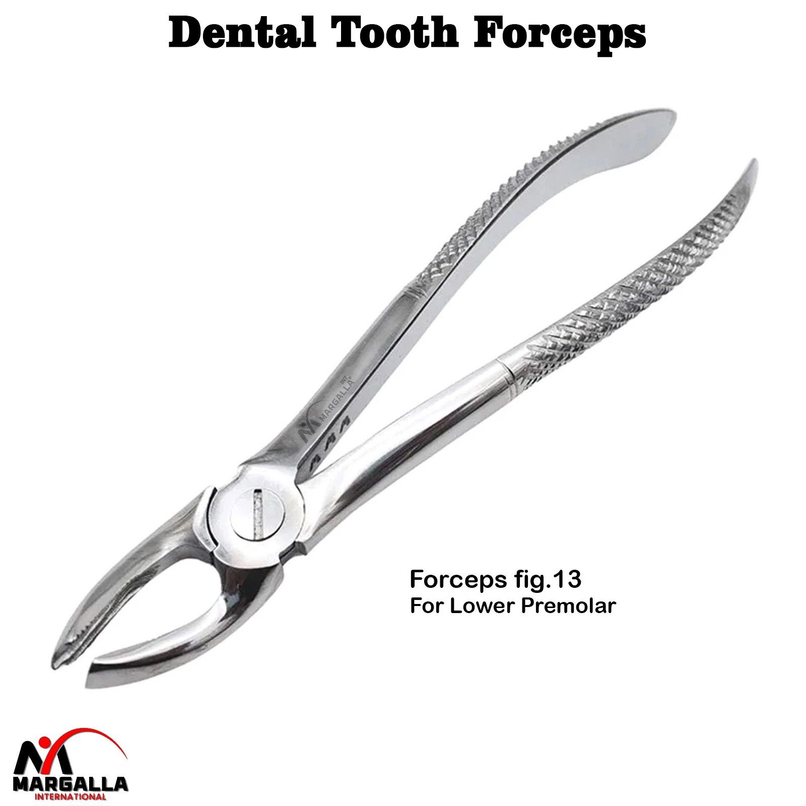 Surgical Lower Premolar Extraction Forceps Fig-13 Dental Tooth Extracting Pliers