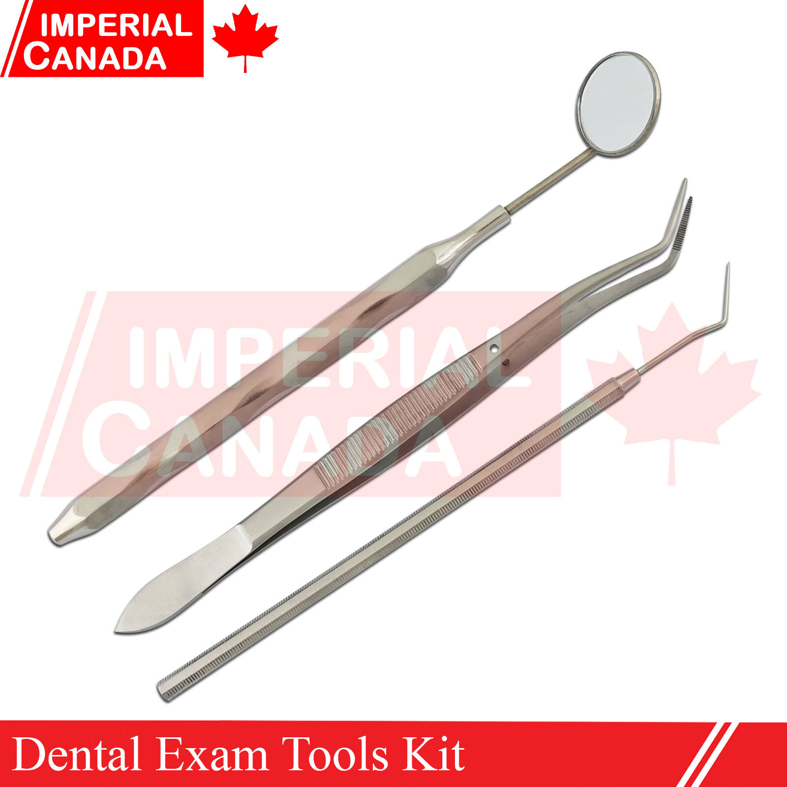 Dental Exam Tools Kit Hygiene Tweezer Mirror Explorer Teeth Cleaning Bas DN-2528