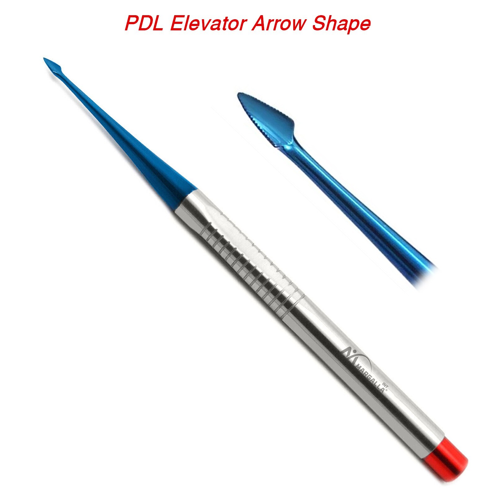 PDL Arrow Shape Root Elevator Dental Luxating Serrated Spade Luxation #60