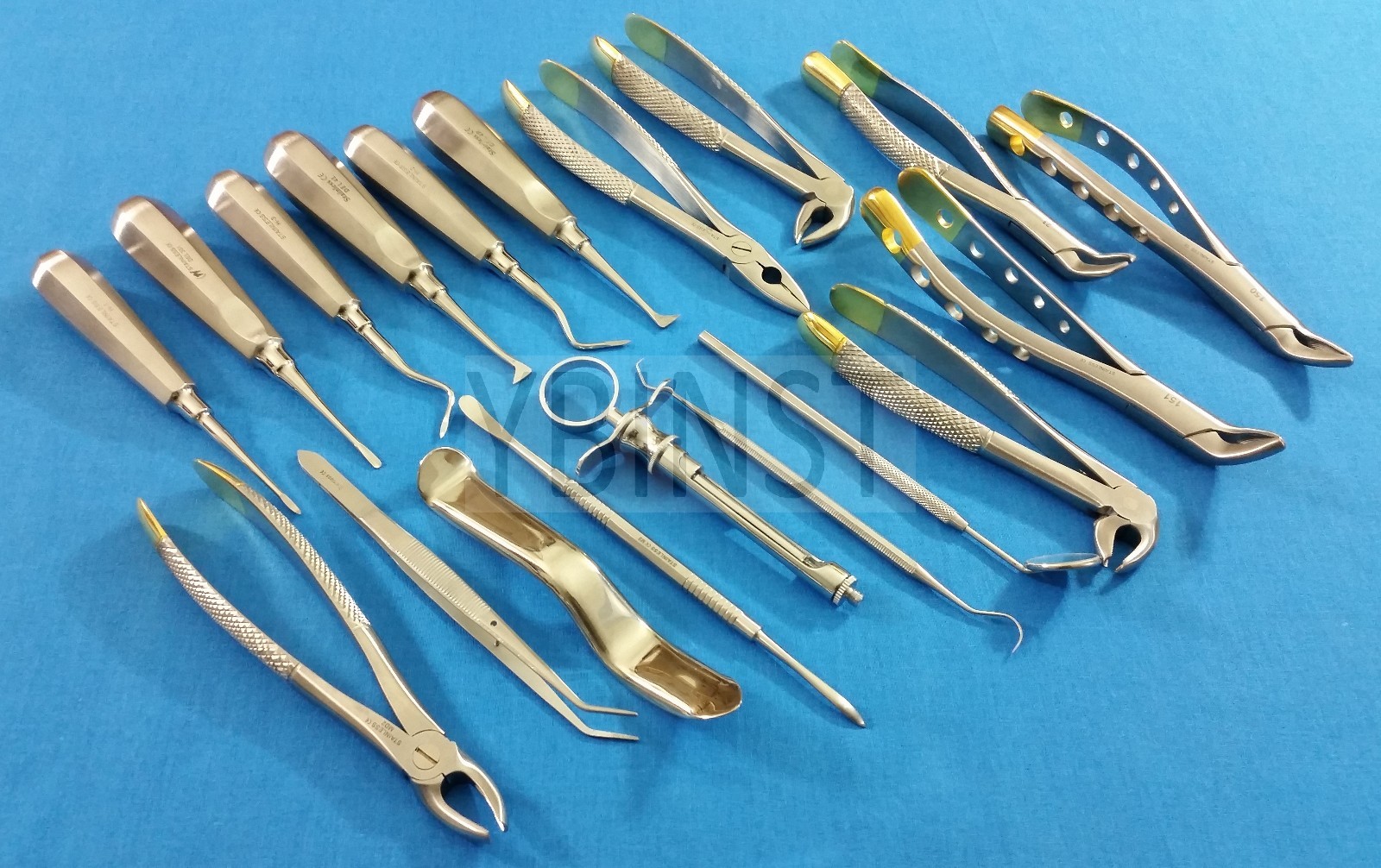19 PC BASIC ORAL DENTAL SURGERY EXTRACTING ELEVATORS FORCEPS INSTRUMENTS KIT SET