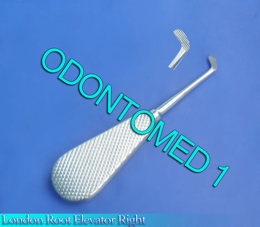 London Root Elevator Right Surgical Dental Instruments