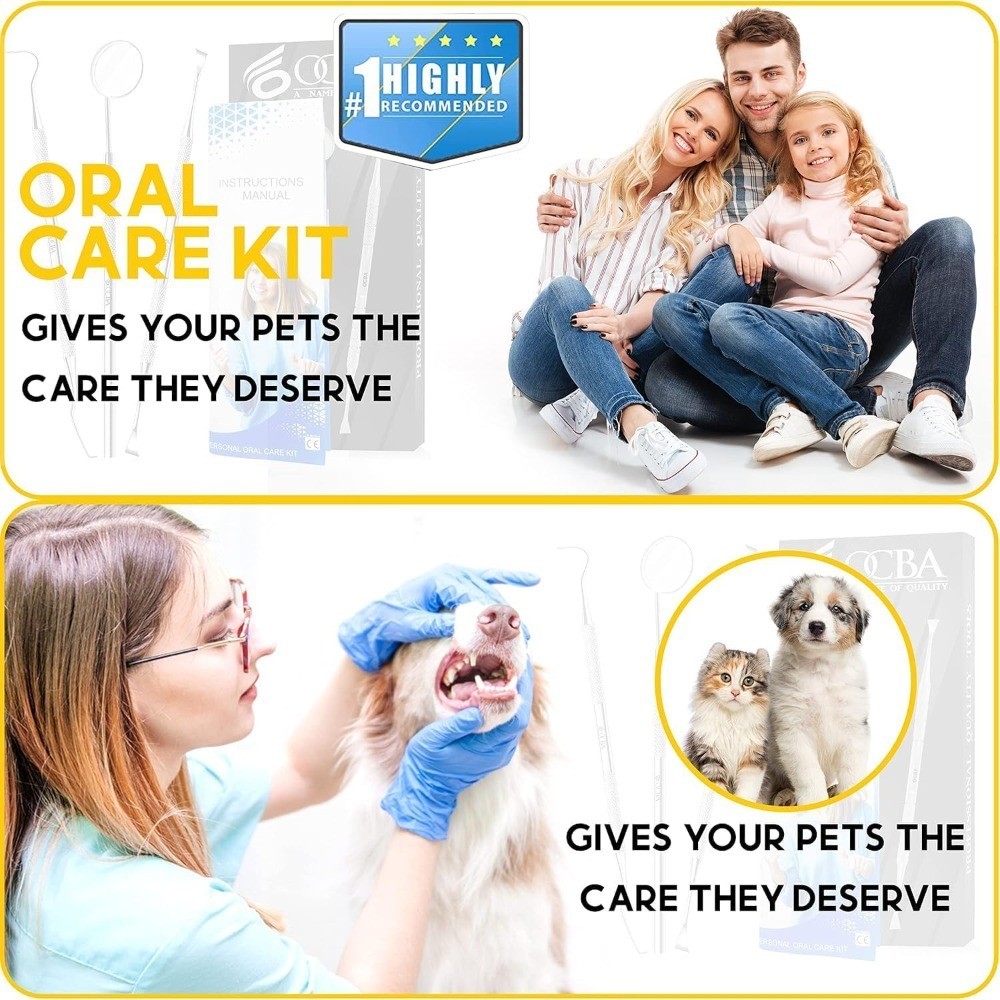 Dental Plaque Remover Teeth Cleaning Kit with Dentist Mirror for Personal and