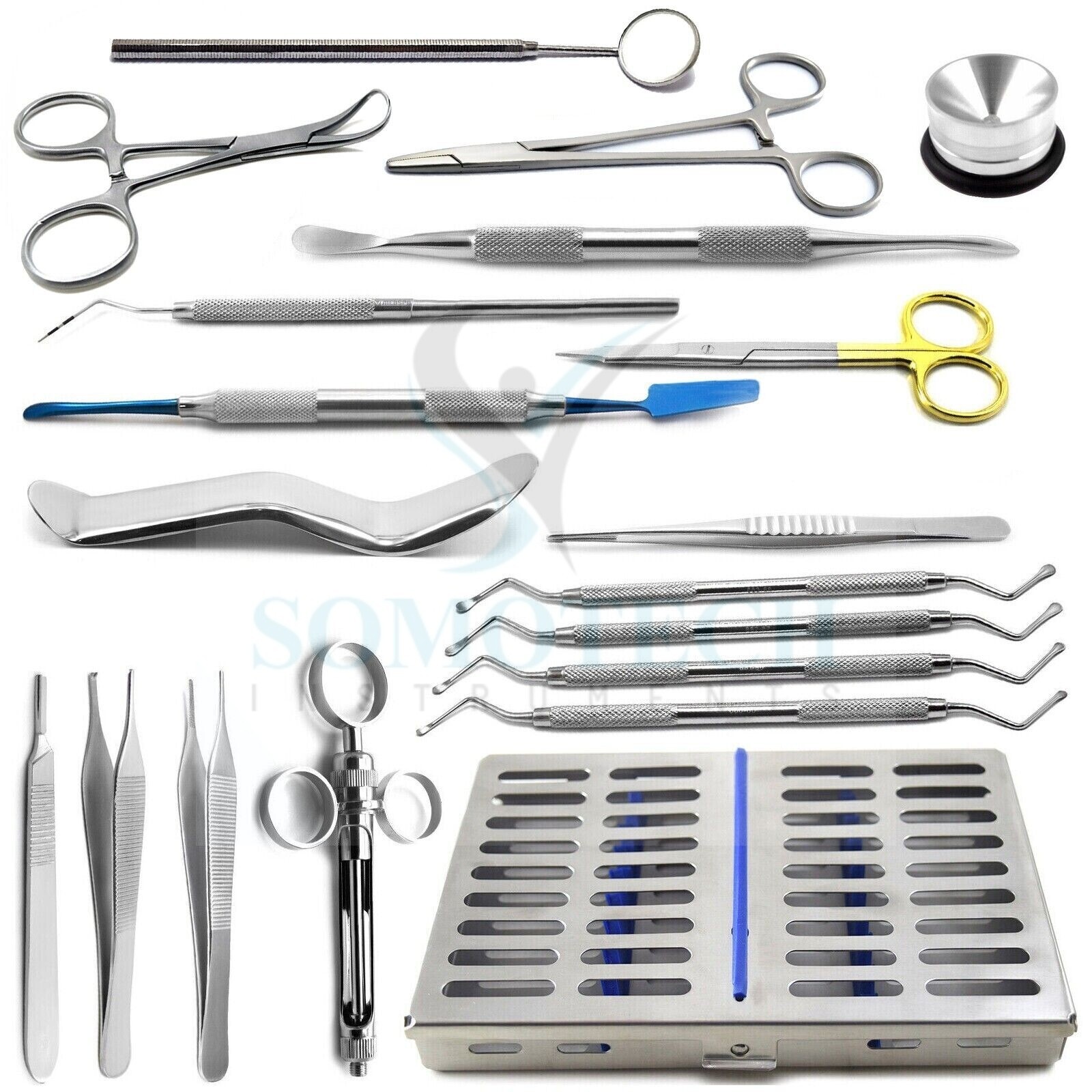 19Pcs Dental Surgical Instruments Kit Implant Oral Surgery Sterilization Tray