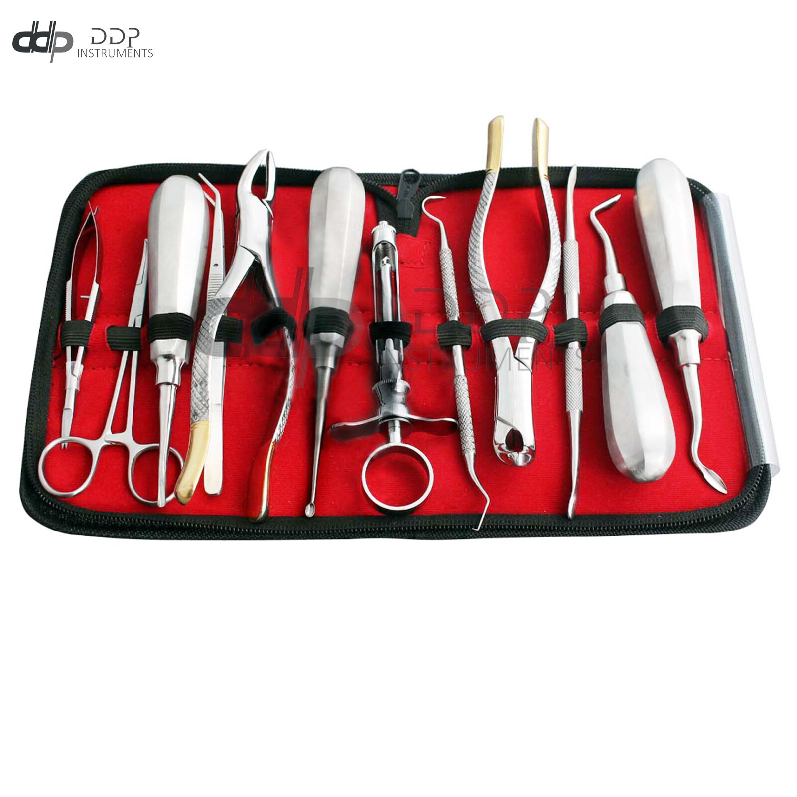12 PCS PREMIUM DENTAL ORAL SURGERY INSTRUMENTS EXTRACTING FORCEPS ELEVATOR KIT