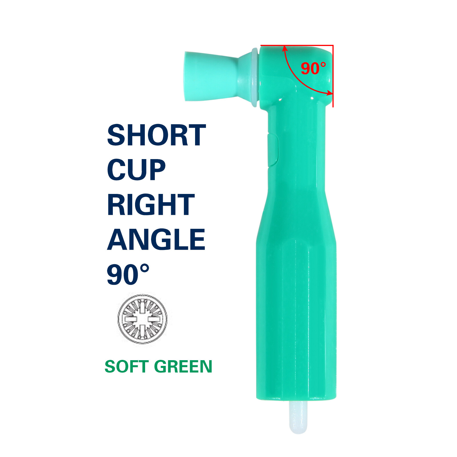 Dental NSK Style 1:1 Handpiece / Straight Nosecone YX / Prophy Angle / Brushes
